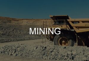 Mining Niches and Industries